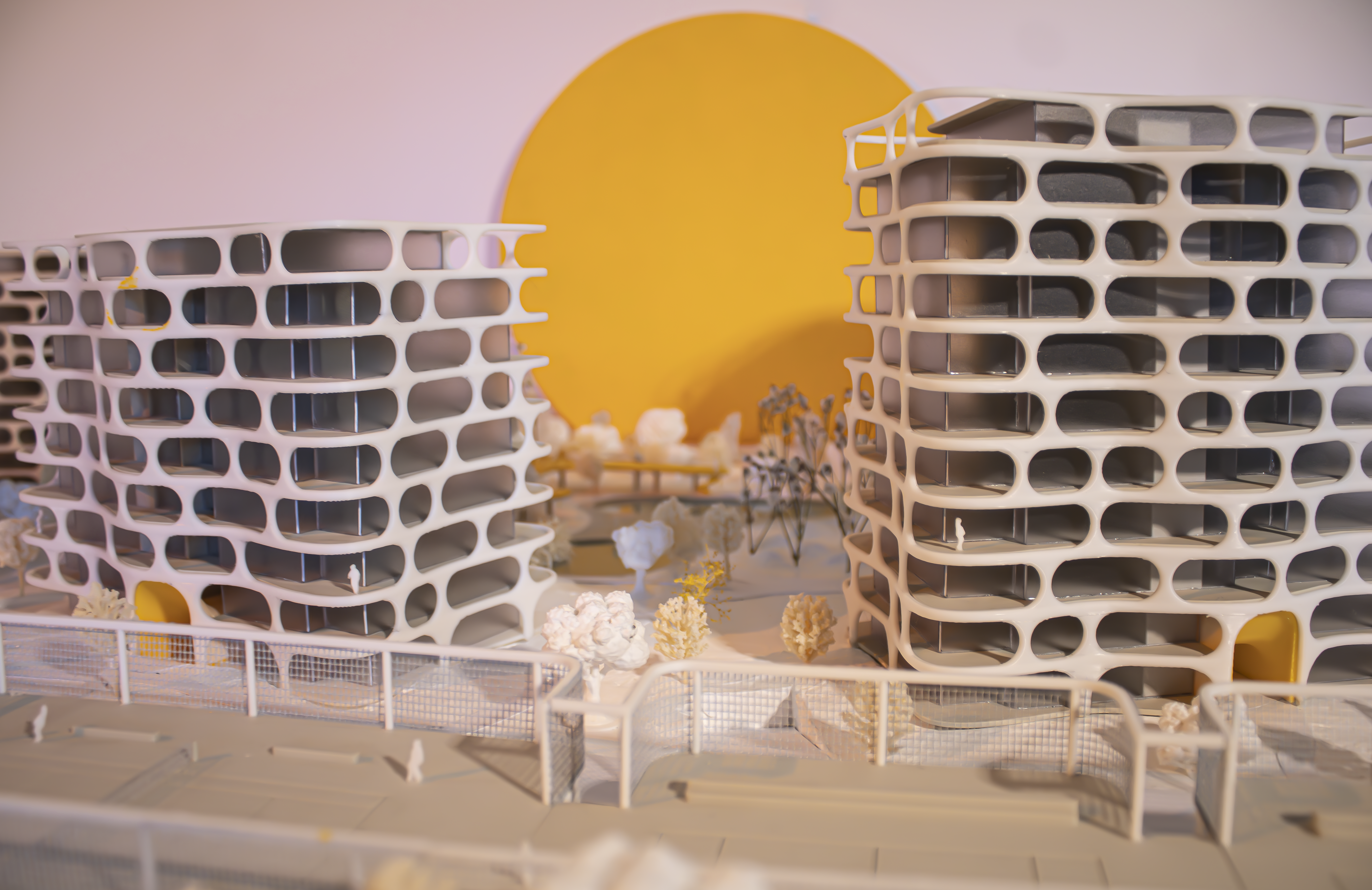 project image 21