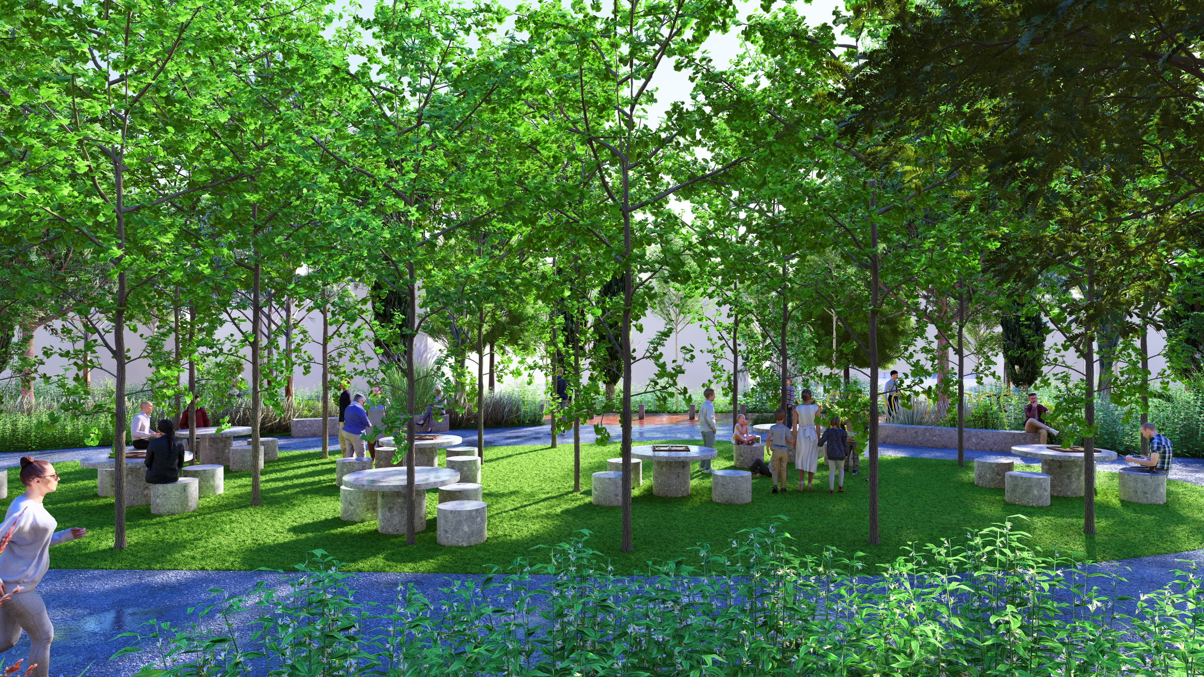 project image 25