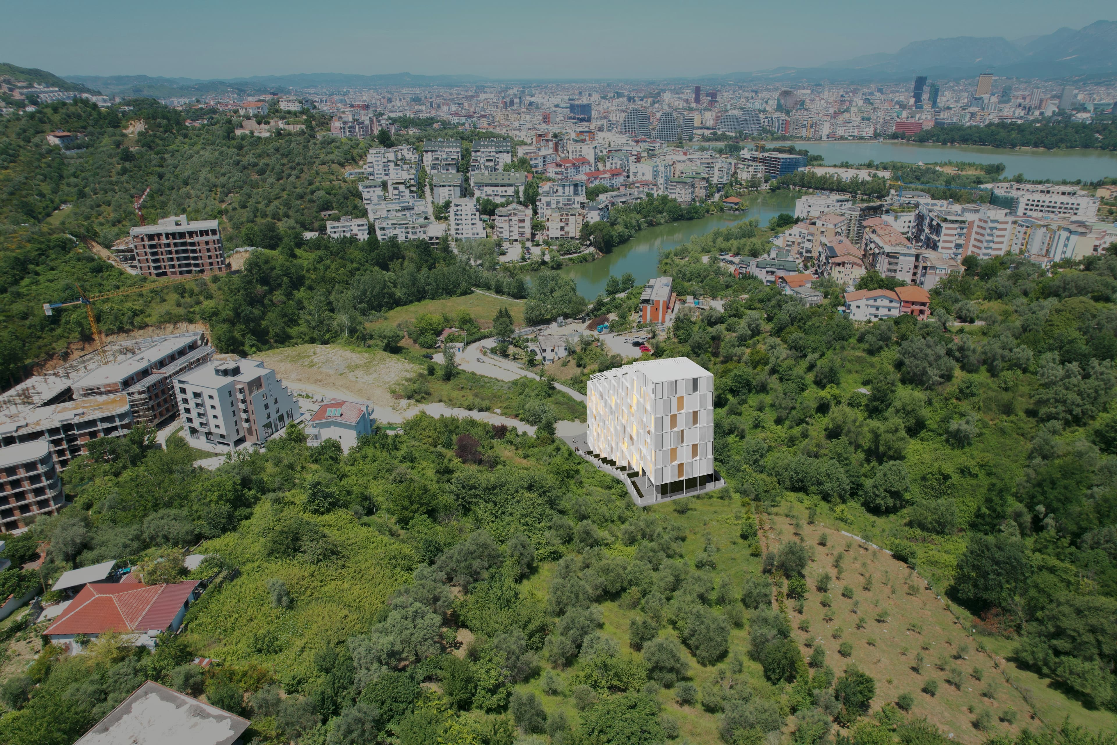project image 10