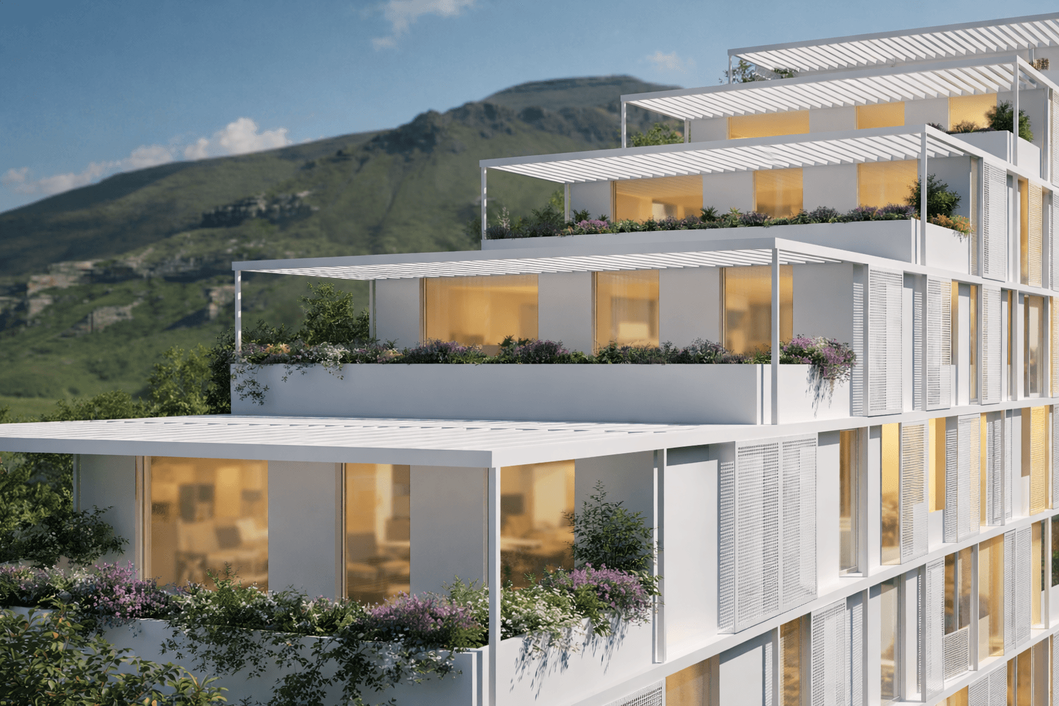 project image 7