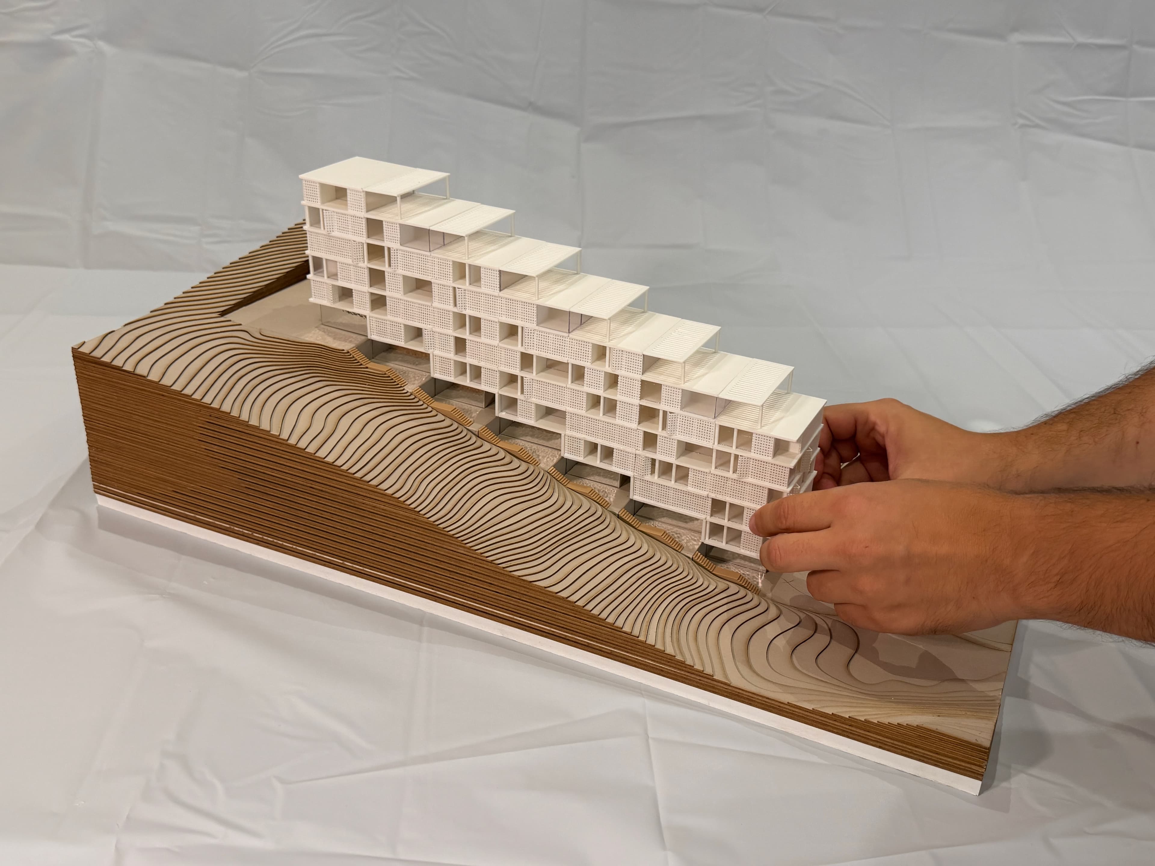project image 15